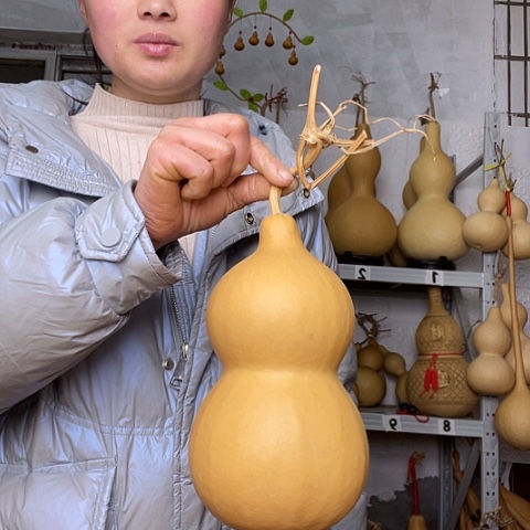 天然植物葫芦文玩