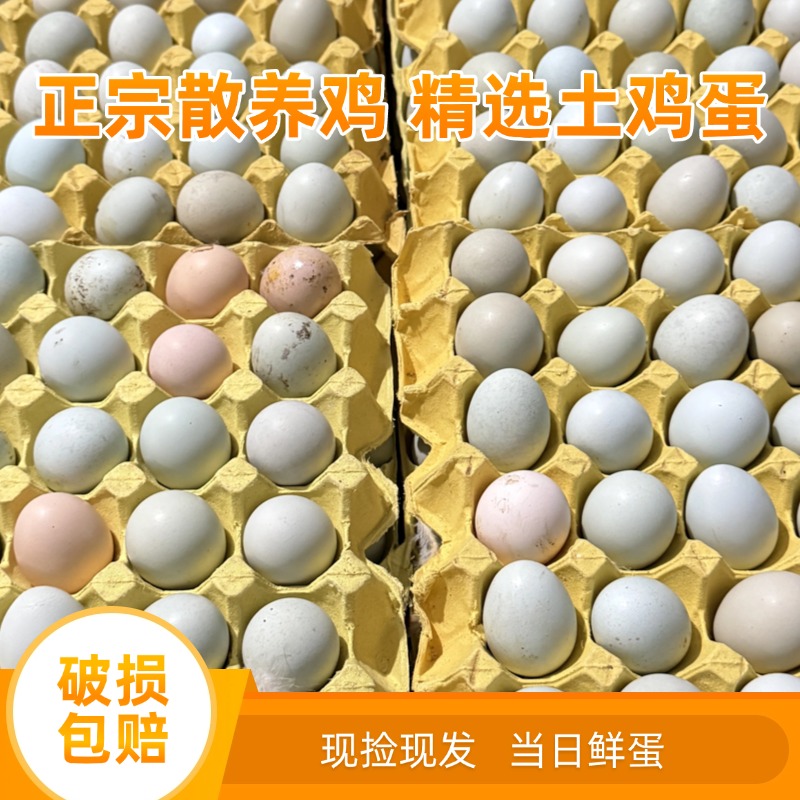 【顺丰包邮】鸡蛋农家散养正宗土鸡蛋新鲜现捡现发