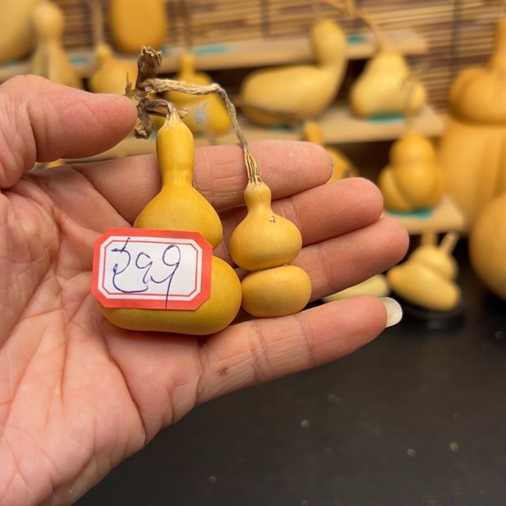 @*己葫芦葫芦葫芦葫芦葫芦