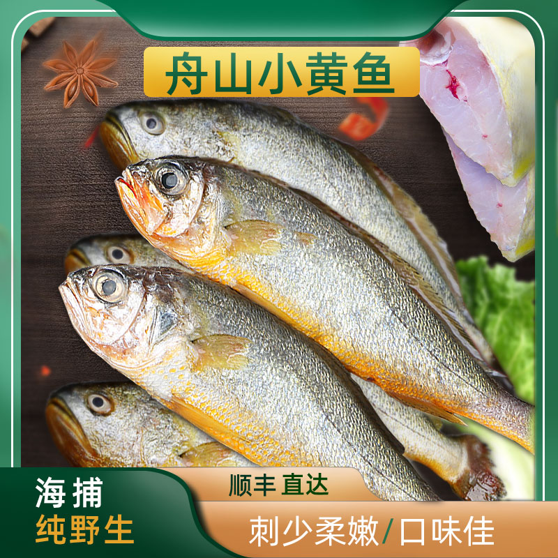 舟山新鲜冰鲜小黄鱼大规格买三送一斤共四斤（5-7条一斤）顺丰包邮明日达