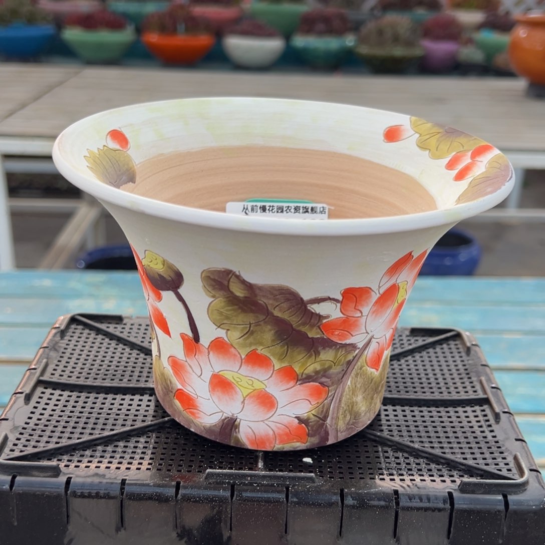 从前慢多肉精选编号0122.122