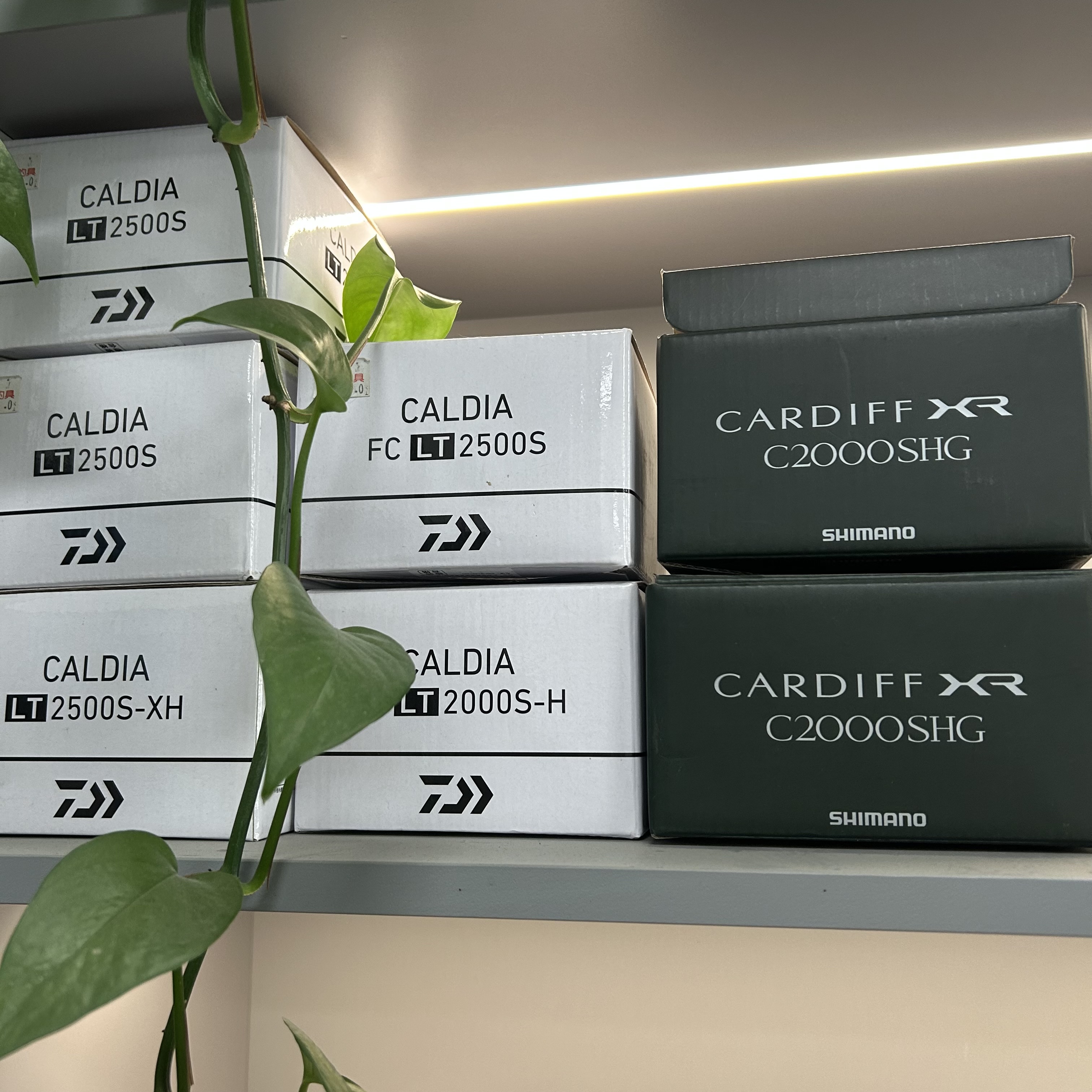 全新卡路迪/卡迪夫系列纺车轮