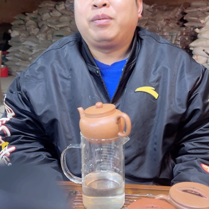 紫砂茶壶平盖莲子紫砂壶