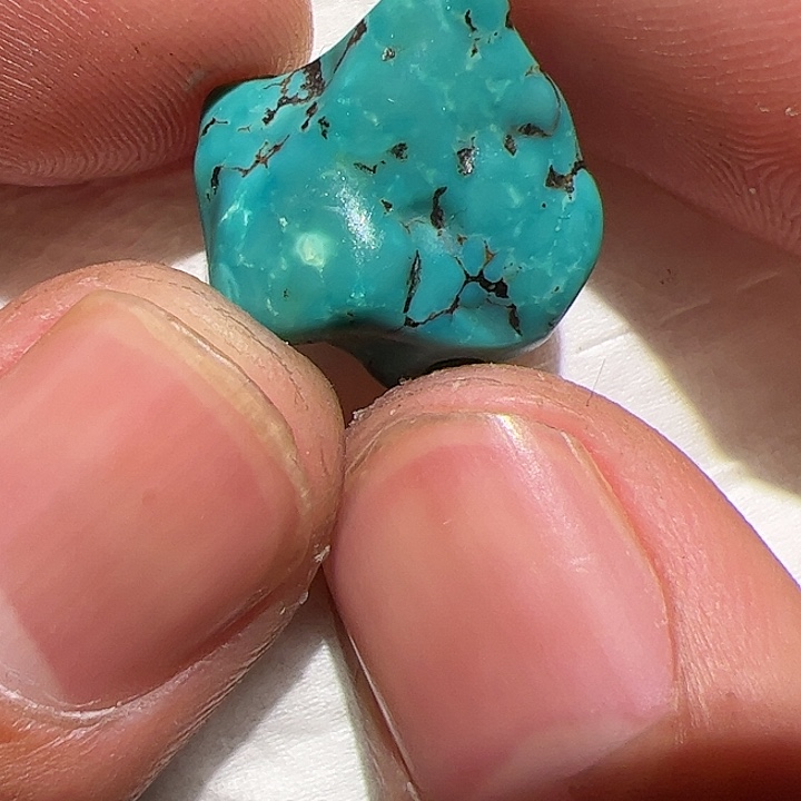 香榧木这样才好吧。