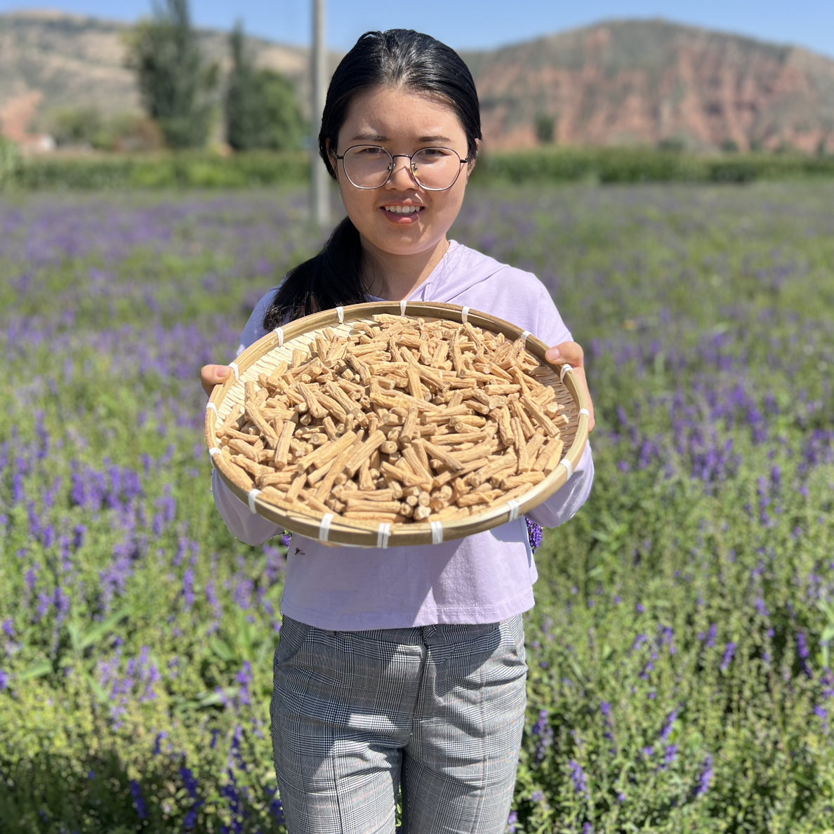 【精选党参中心段】原产地正宗甘肃陇西无硫干货可搭配黄芪当归煲汤