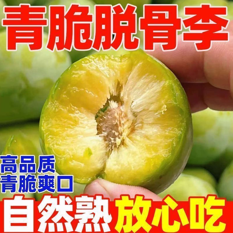 【新鲜现发】四川青脆脱骨李子五月脆水果酸甜可口佳果带箱5斤