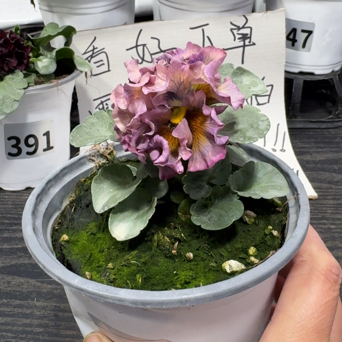 全部花朵722号礼服