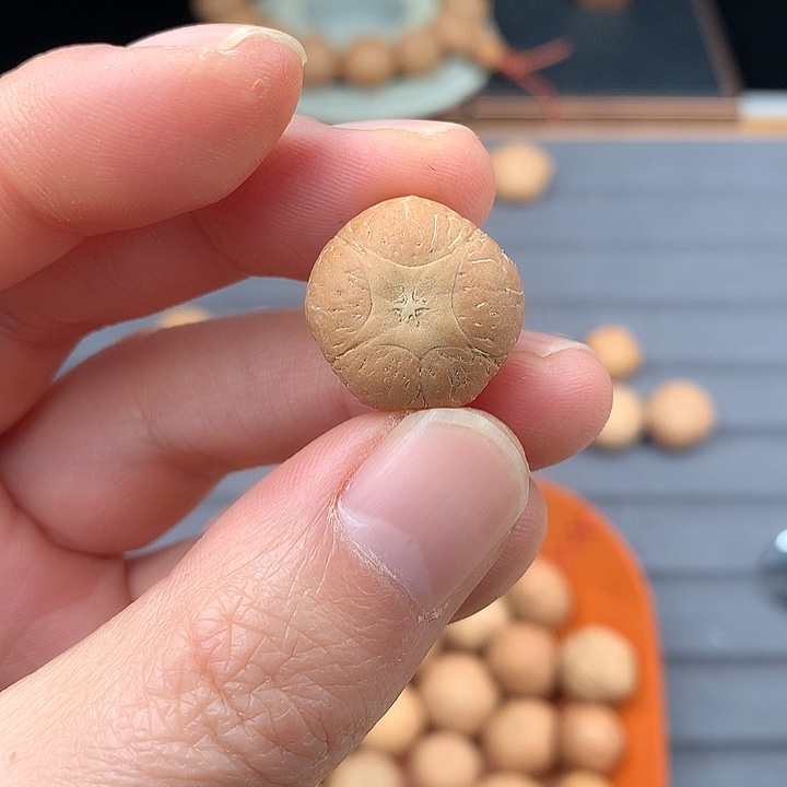 吊坠凤眼菩提19+五星，非质量问题开孔不退