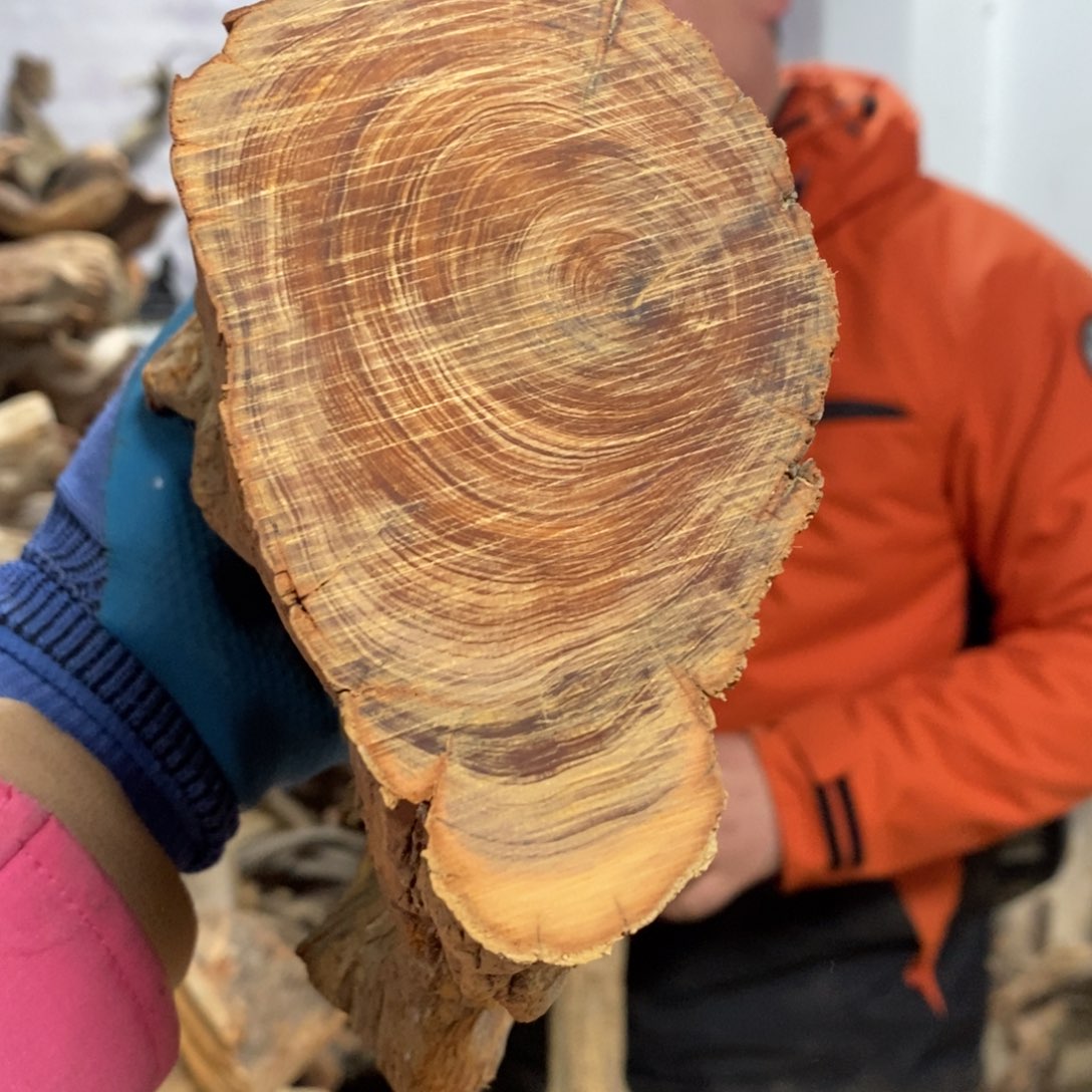 柏木友**诚我们都是好孩子