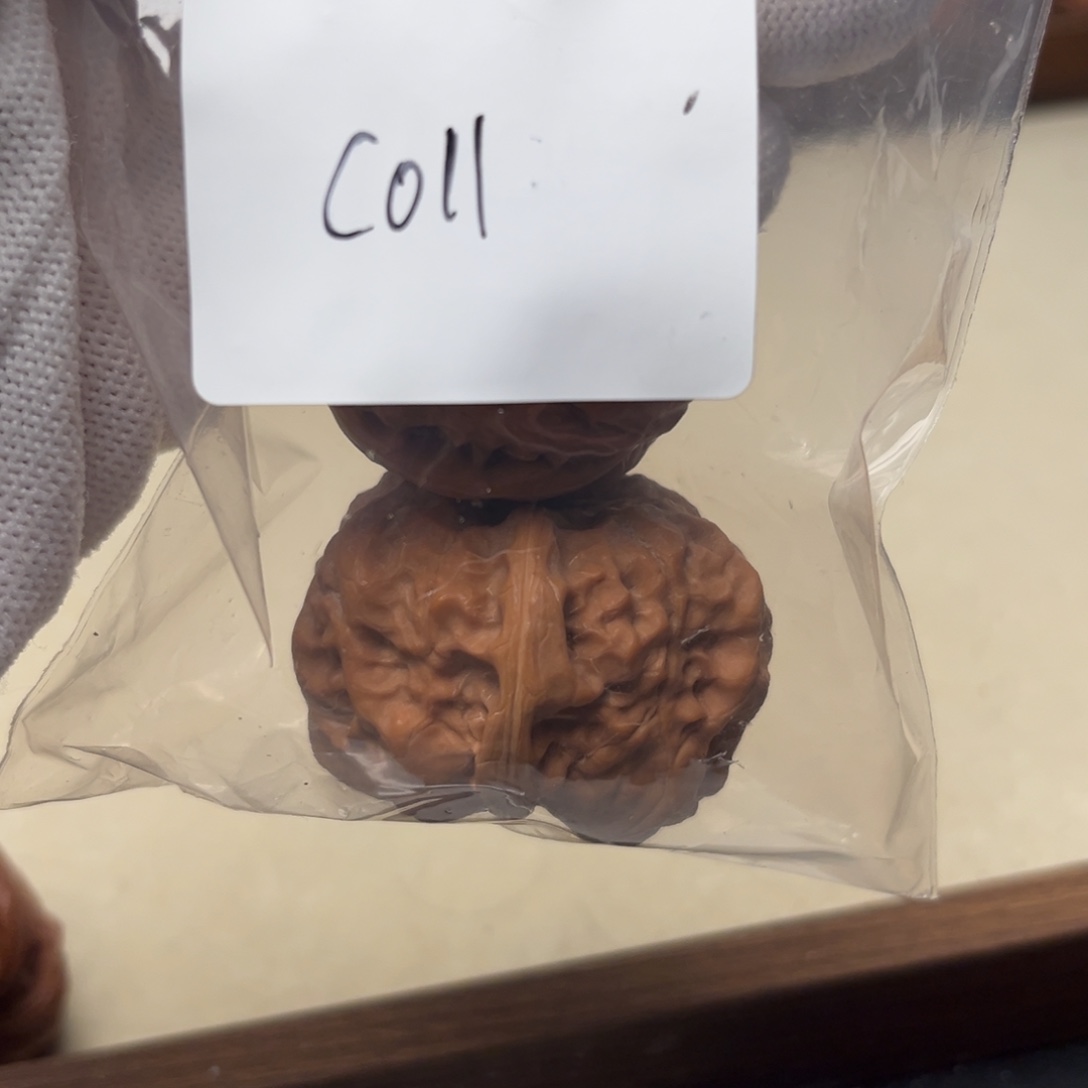 文玩核桃吊坠蛤蟆c011