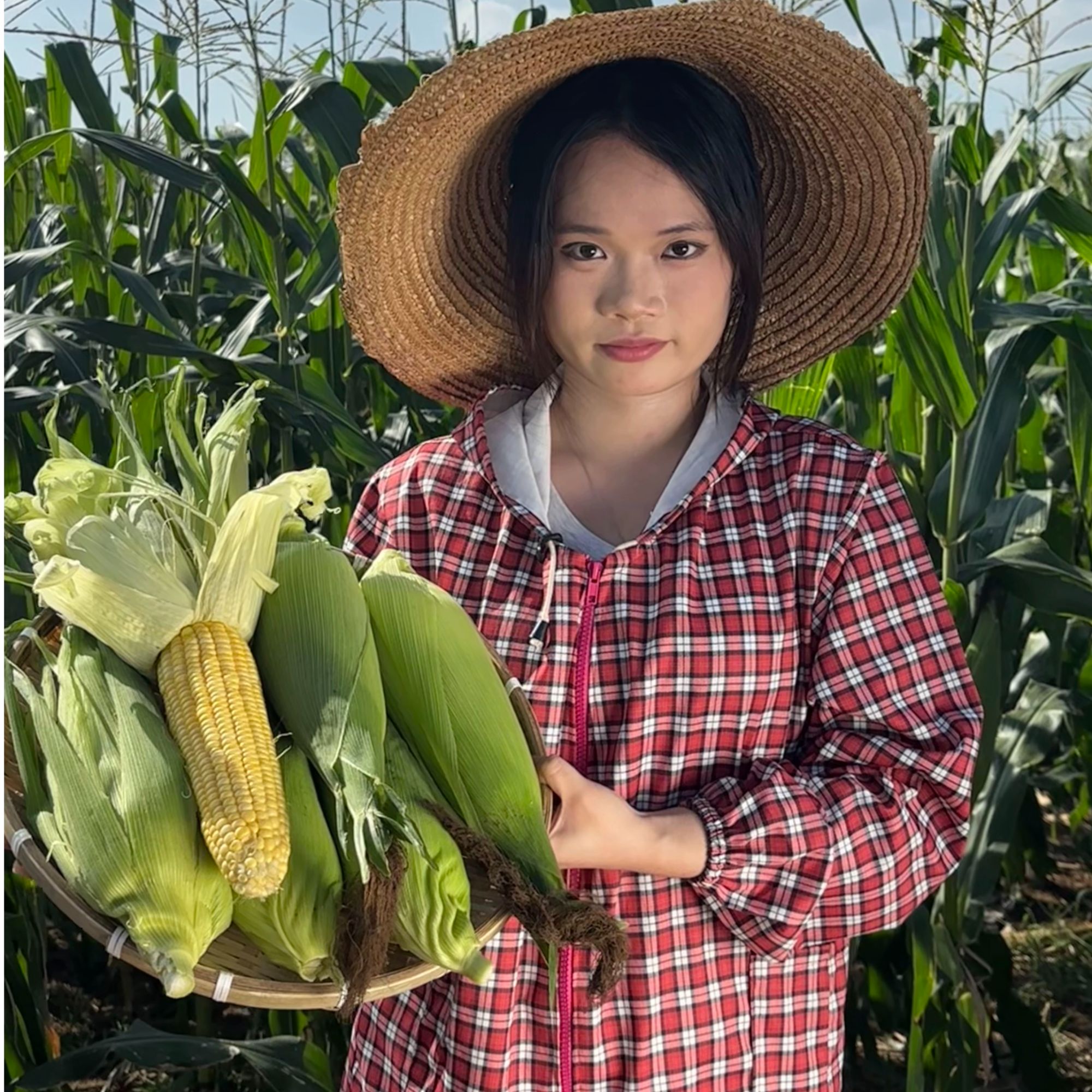 湛江徐闻新鲜甜玉米孕妇水果玉米甜糯玉米带皮发货5斤9斤太阳花A