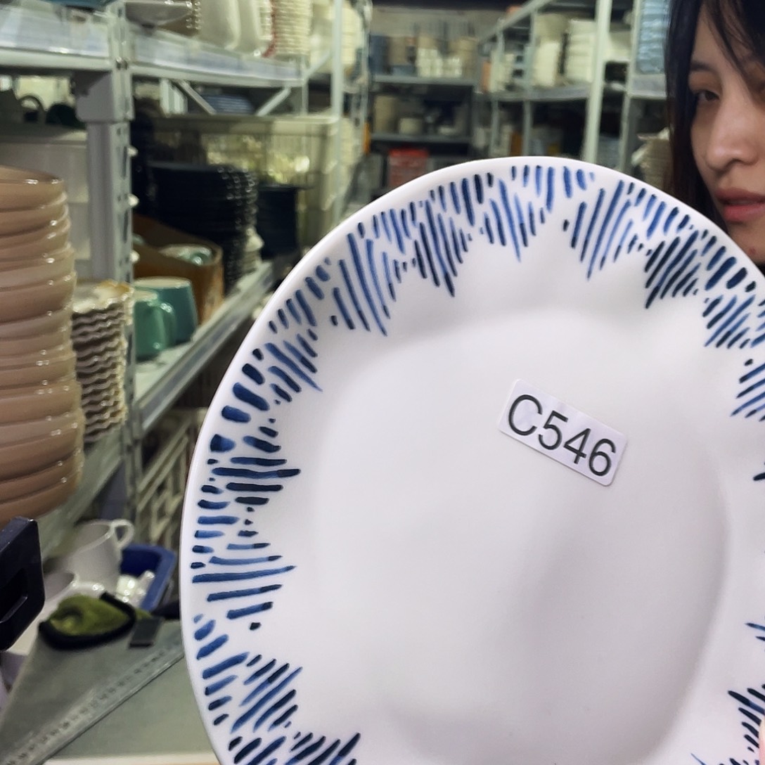 瓷片546                 2个