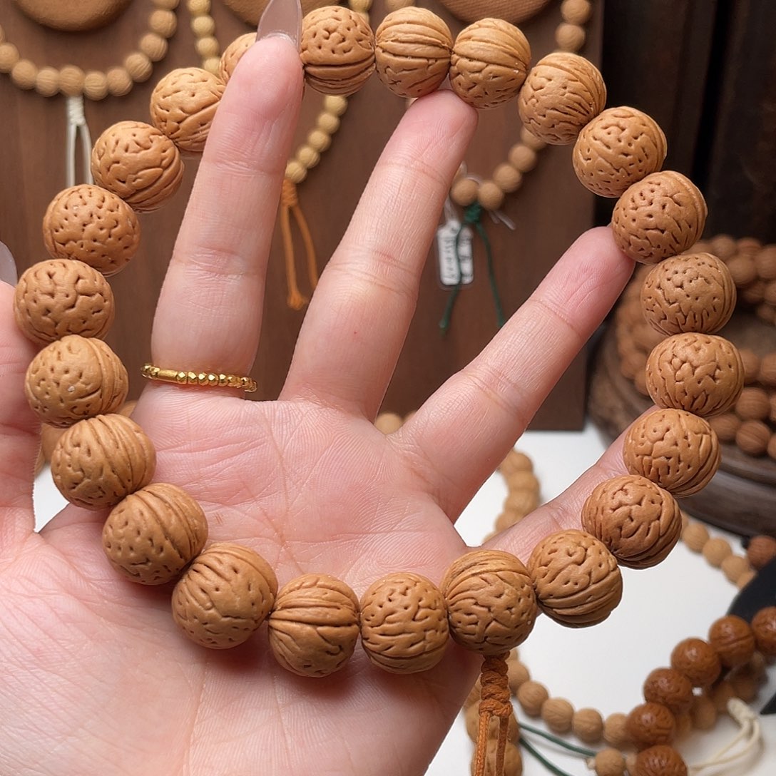 半***尘16.4野生灯笼矮1.8高14.6