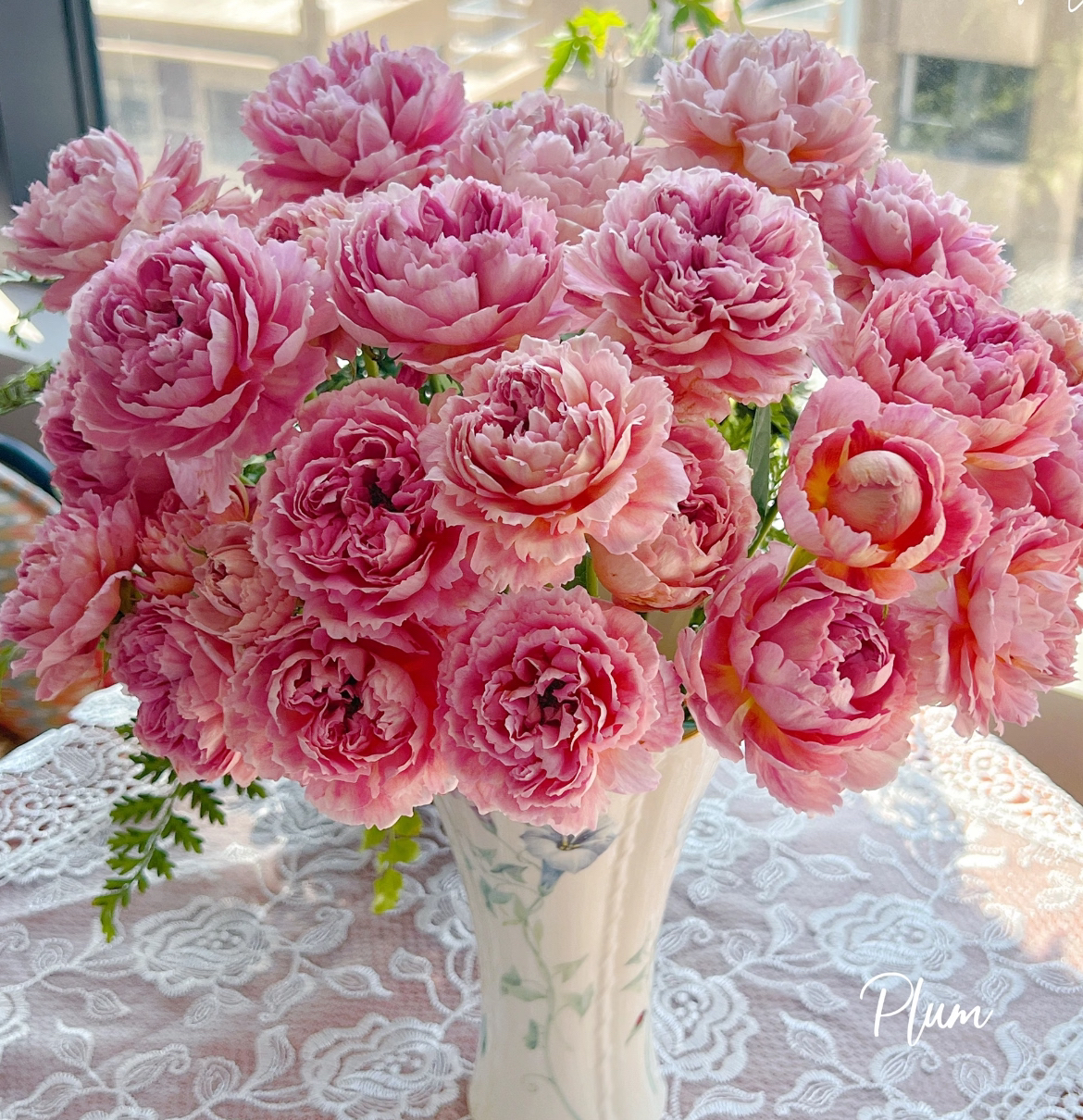 德芮尔【织锦单头10支】（10%不售后）