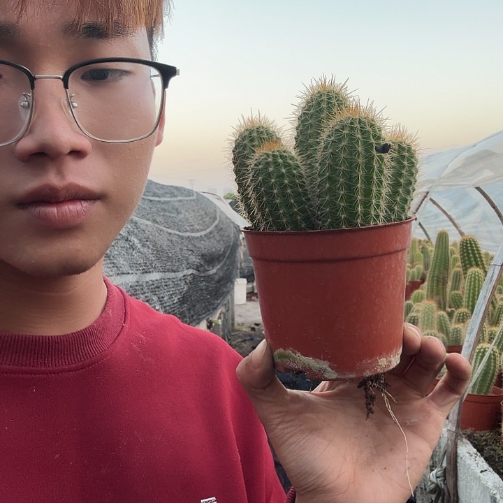 钰***骅无花朵倾城哈哈哈哈哈哈