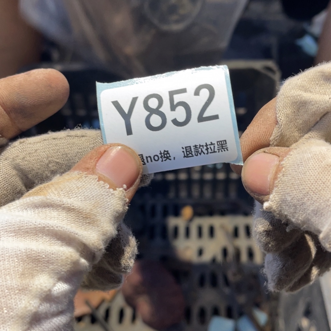 看***怪瓷片表弟链接火爆热卖热卖