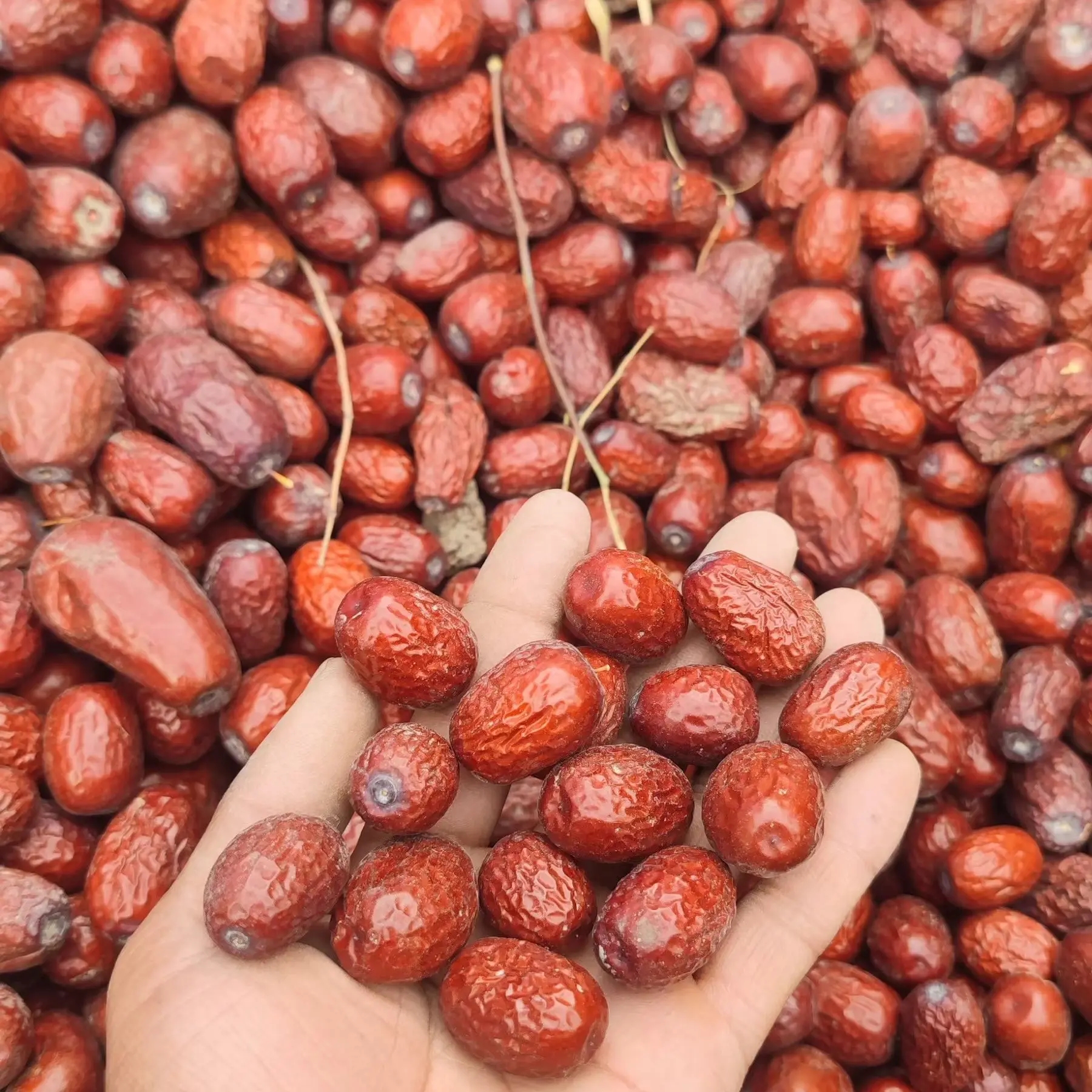 新疆和田二二四团原生态灰枣未清洗吊干红枣香甜零食