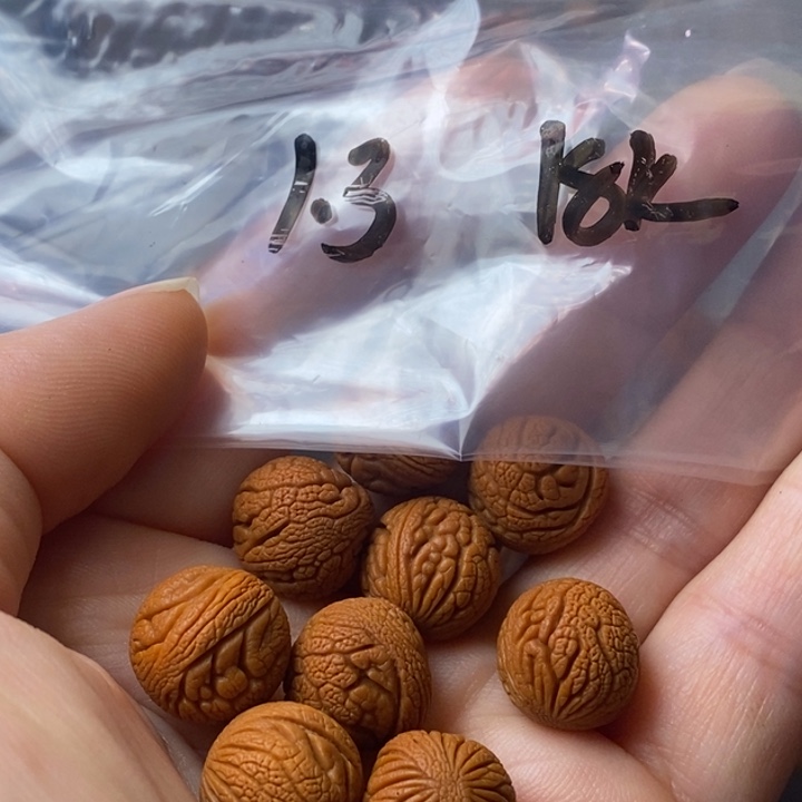 文玩核桃手串秦岭野生龙纹桃核13