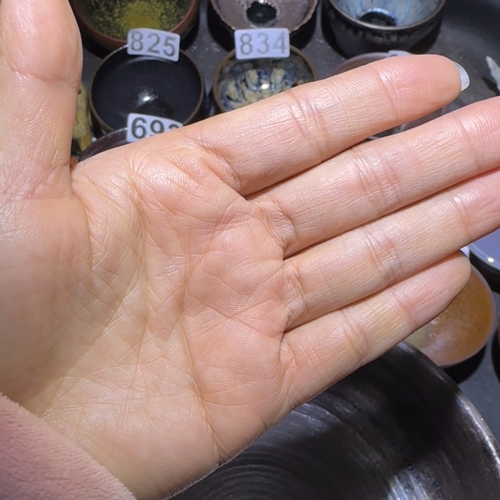 向***走茶盏福建盏茶器中