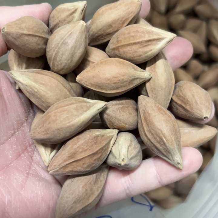 核桃其他1.9-2.0+的橄榄核雕刻一斤轻微色差