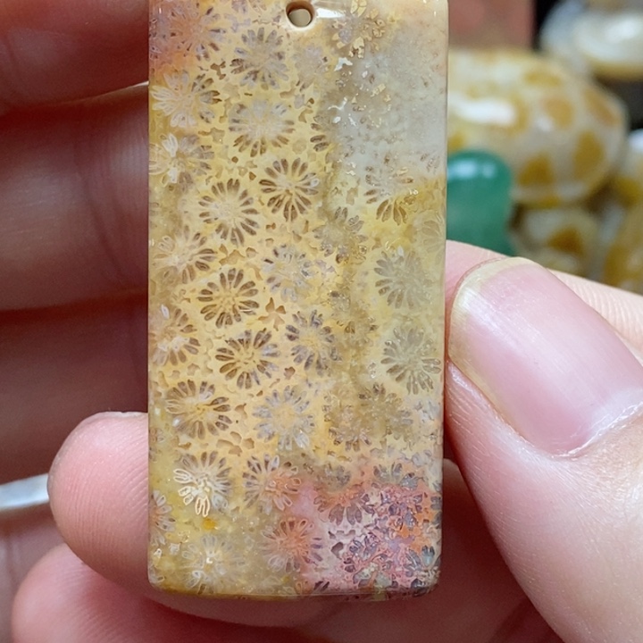 硅化珊瑚（珊瑚玉）颈饰未镶嵌小吊坠