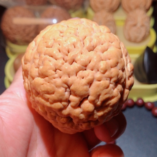 文玩核桃把件单只金刚菩提