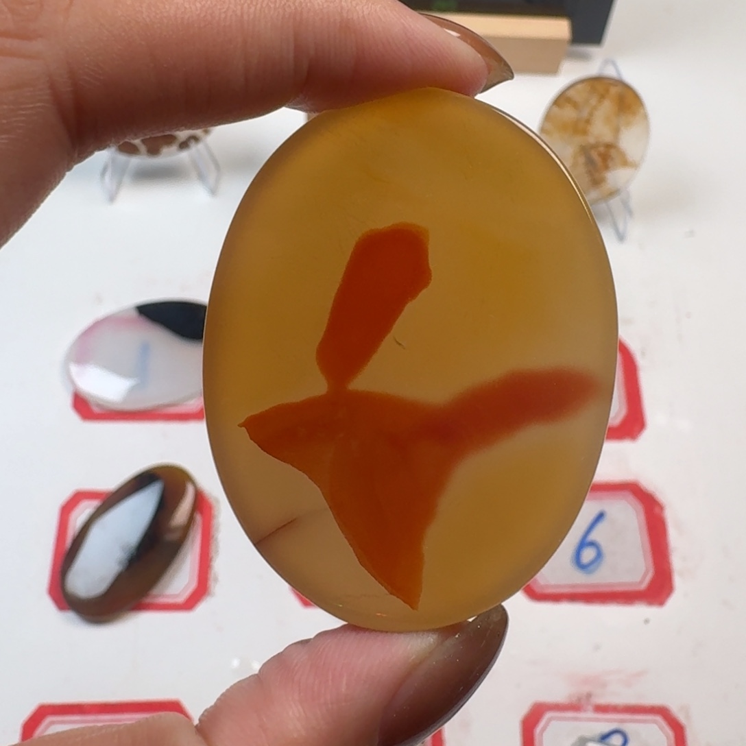 未镶嵌颈饰玛瑙/玉髓