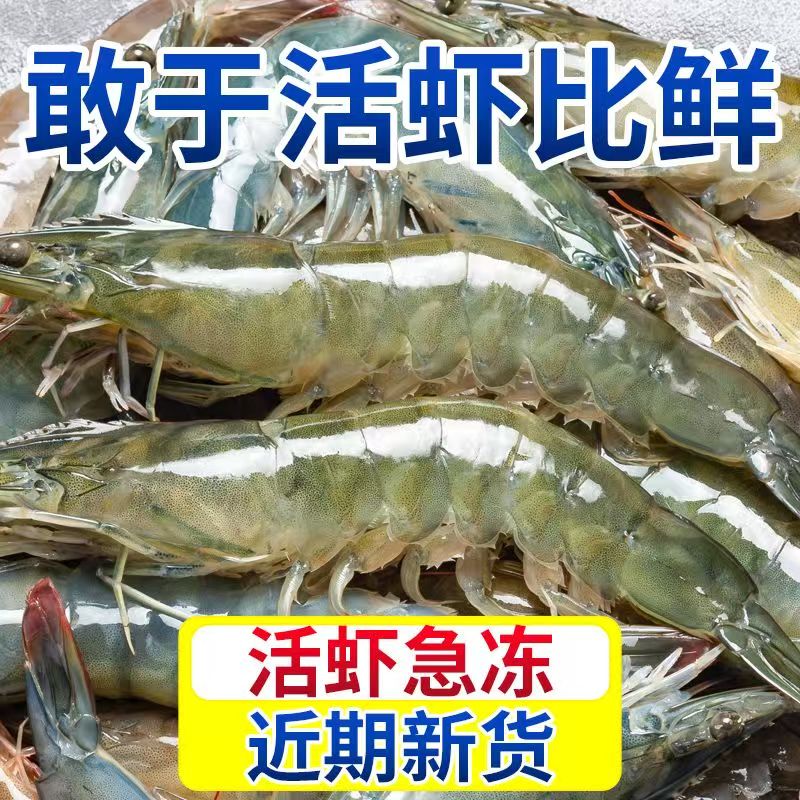 厄瓜多尔新鲜海水大虾3040规格净重1650G活虾速冻锁鲜发货