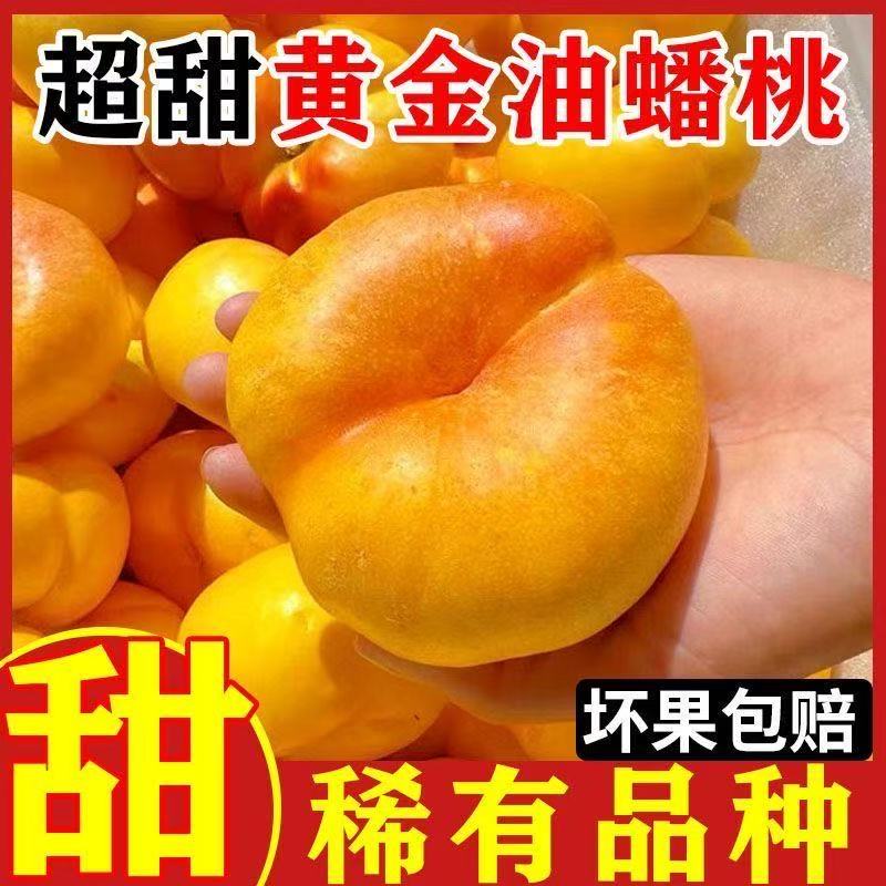 山东蒙阴彩虹油毛蟠桃水蜜桃新鲜应季水果甜美多汁