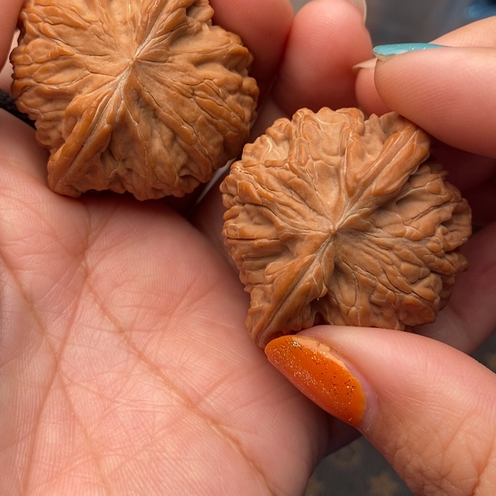 核桃磨盘43尺核桃