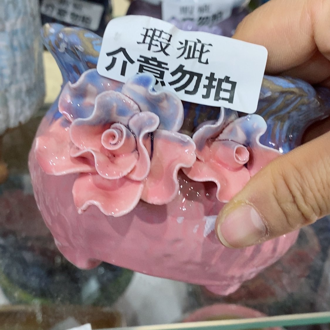 【闪购商品】红陶福利