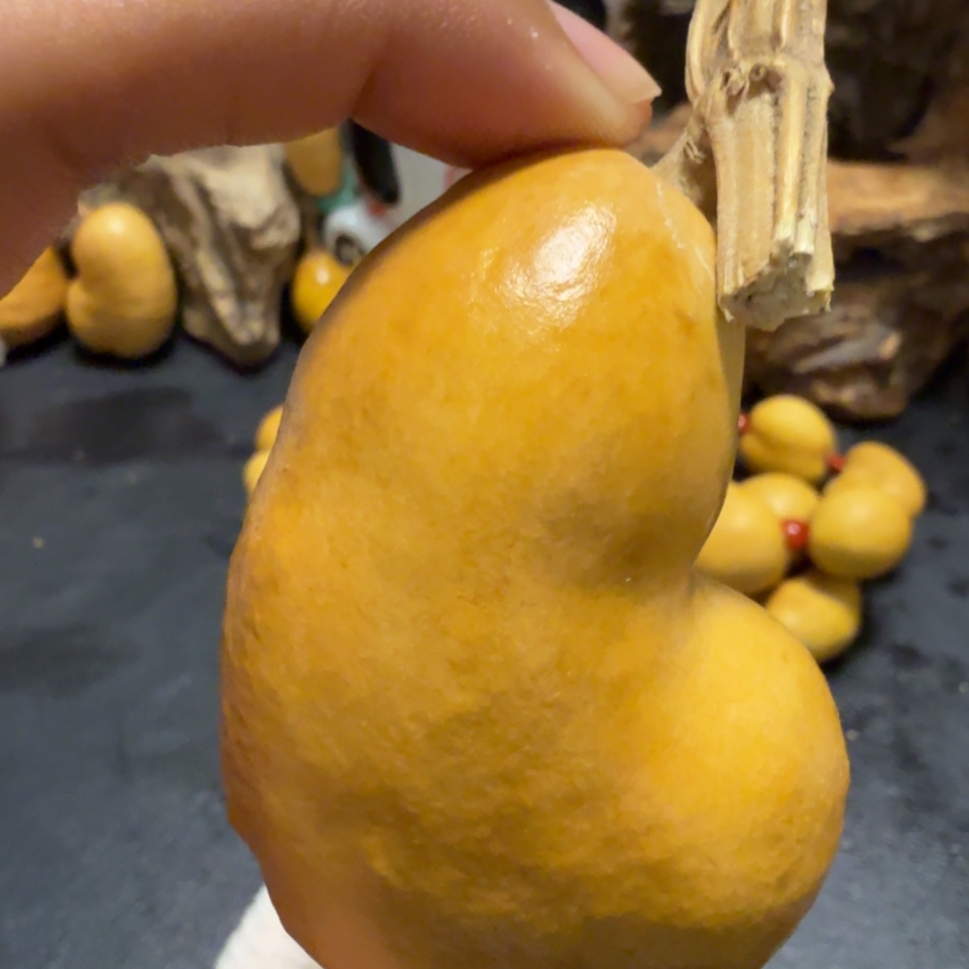 秋***豆66…………………………………………