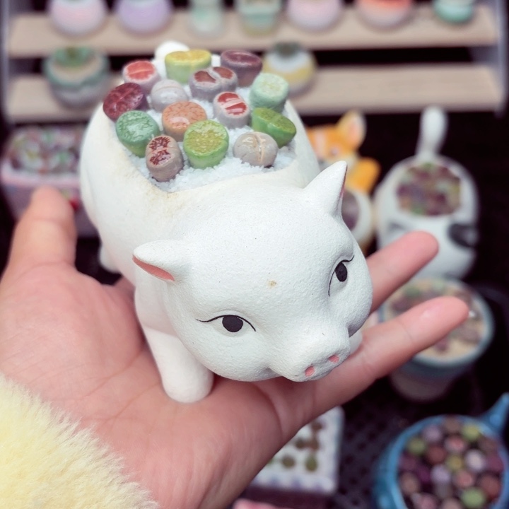 8026零下地区记得拍保温箱