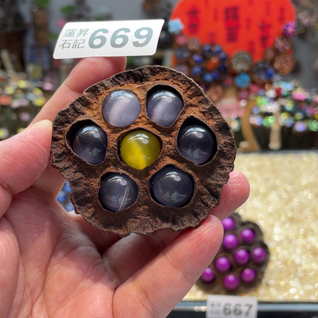 核桃木/黑胡桃（胡桃木）669