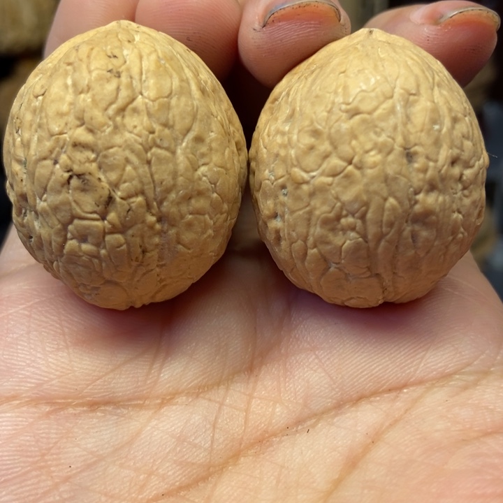 吊坠文玩核桃蛇皮求3