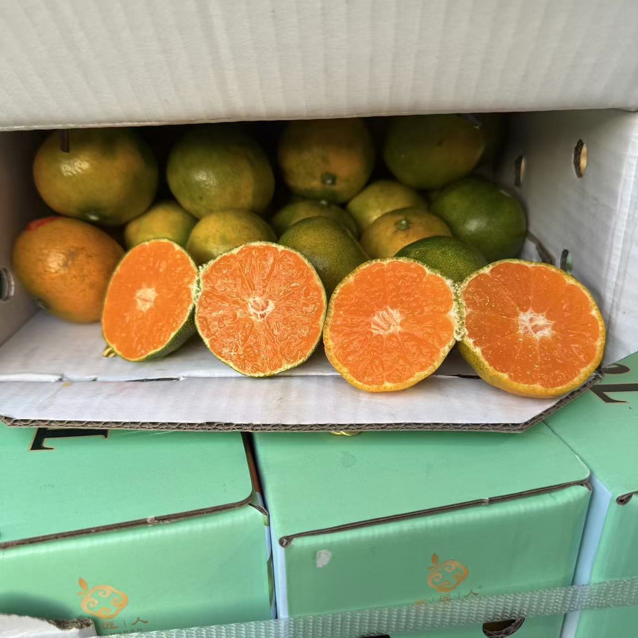 红土爆橘口感甜好吃河北省