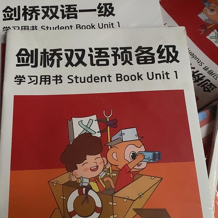 剑桥双语预备级. 没有资源