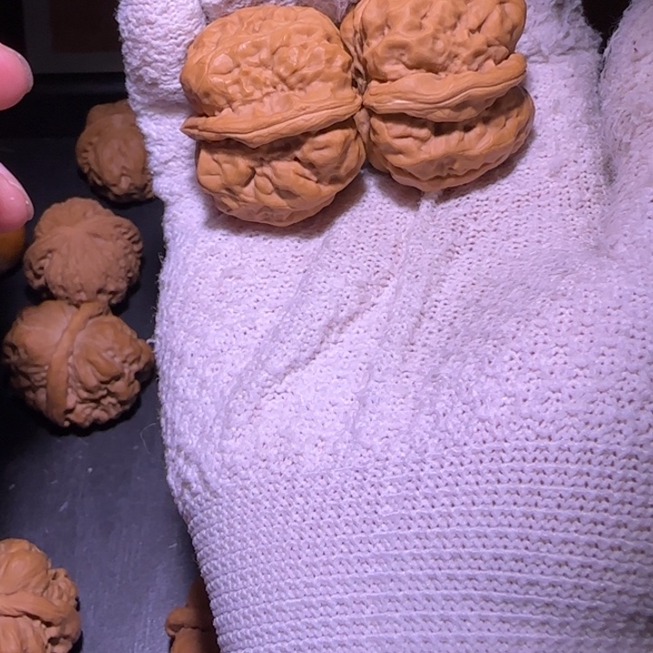核桃福利蛤蟆头手把件