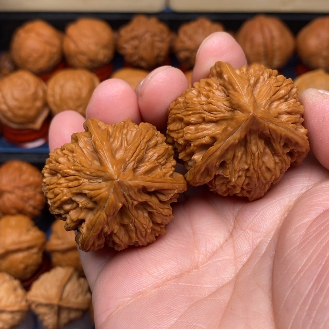 文玩核桃把件蜀*手捻