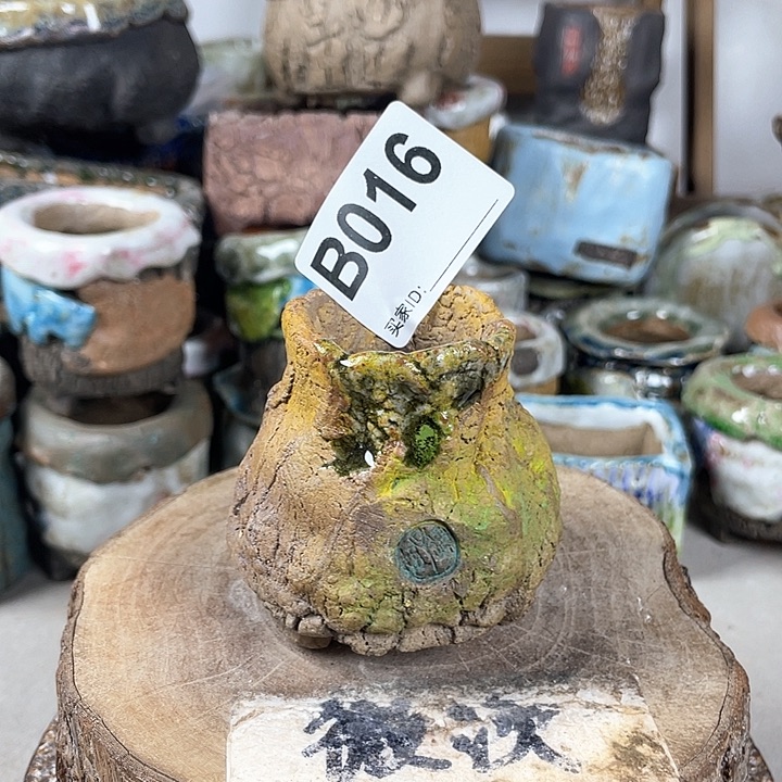 紫砂花盆开播福利 陶瓷花盆