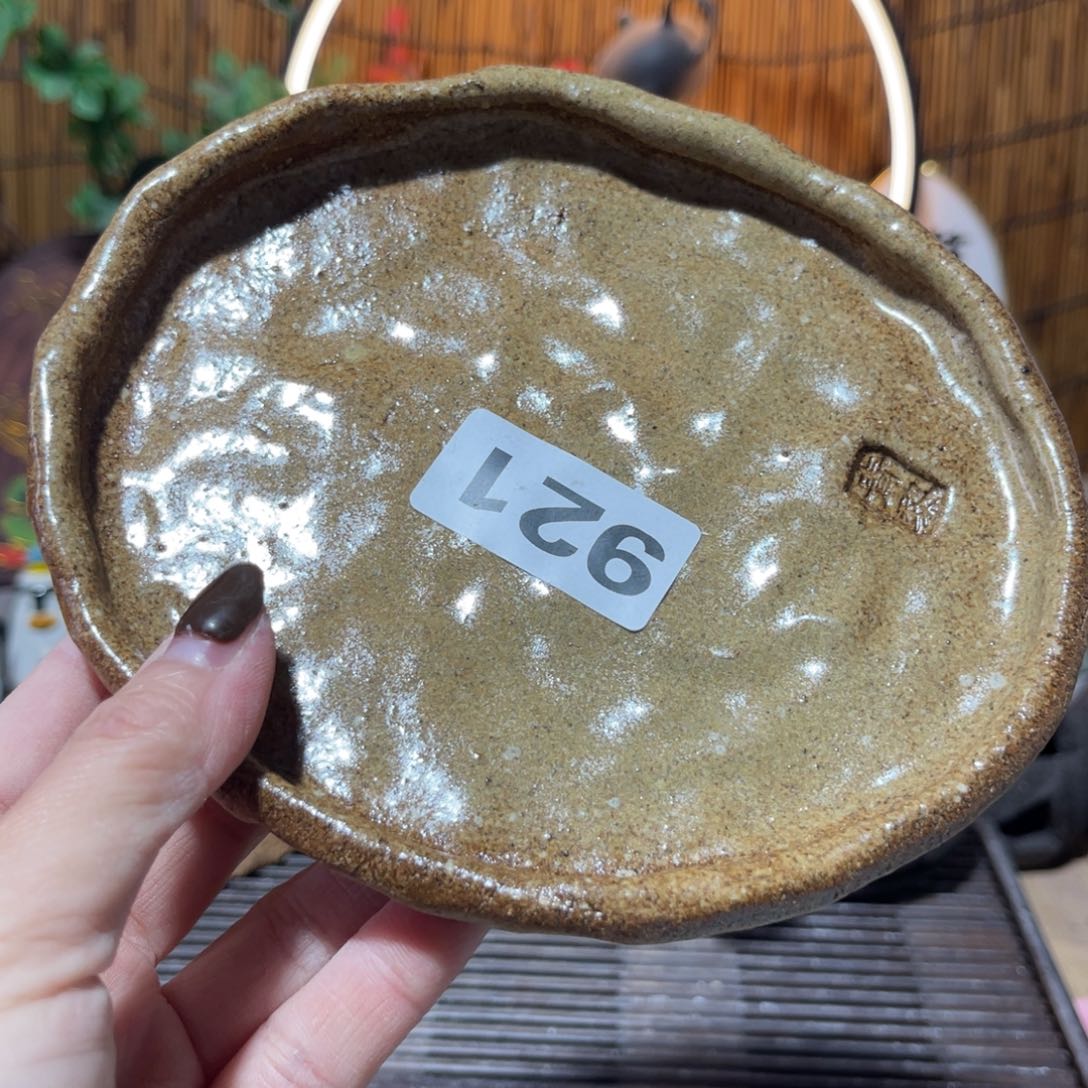 木村信弘柴烧保平