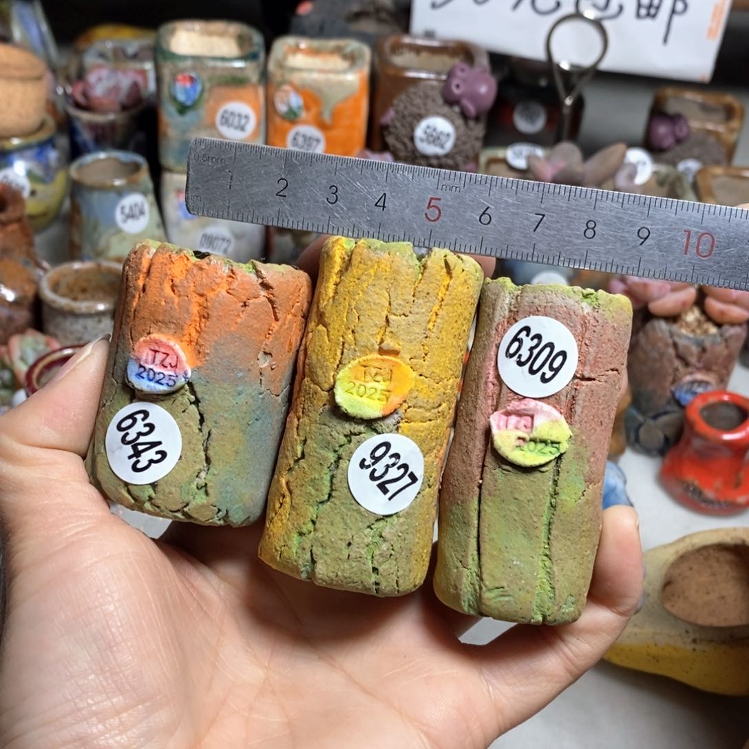 多肉花盆处理的，不退不换