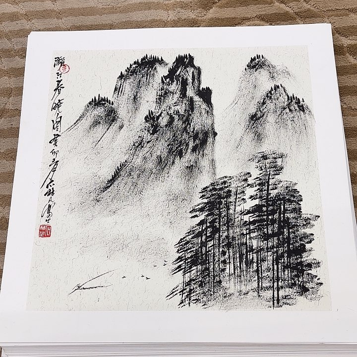 国画花鸟的翅膀和50.50