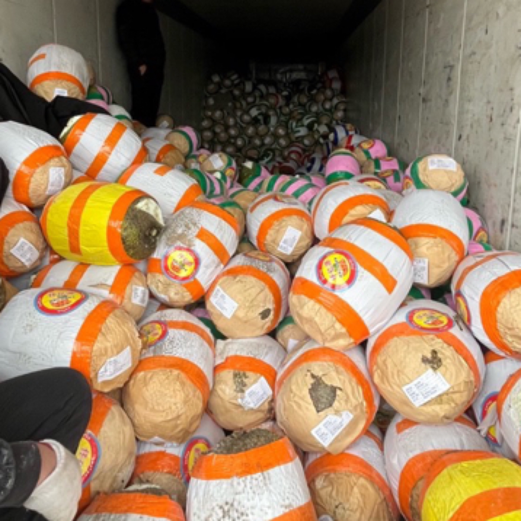 福利-越南进口菠萝蜜，4-5斤半个果