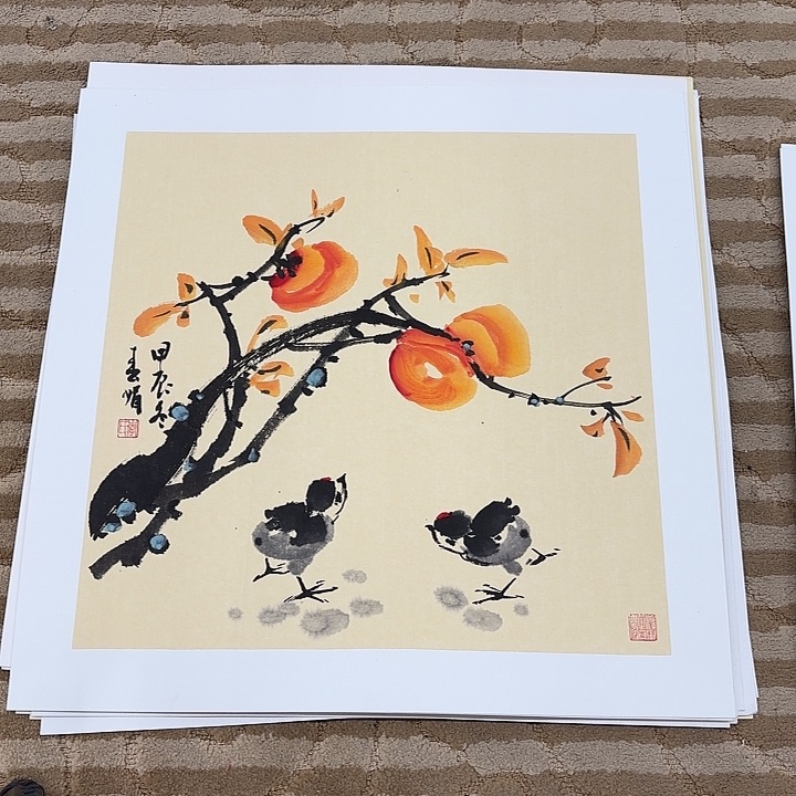 国画花鸟的翅膀是白色50.50