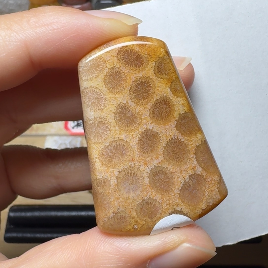 硅化玉未镶嵌豹纹