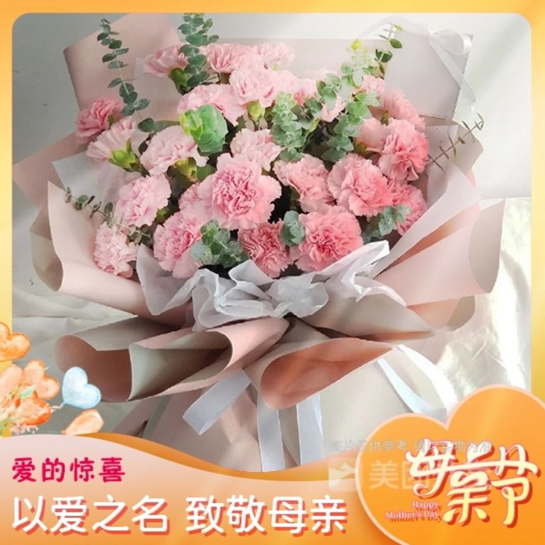 【寸草春晖】33朵粉色康乃馨混搭尤加利精美花束送妈妈长辈节日礼物