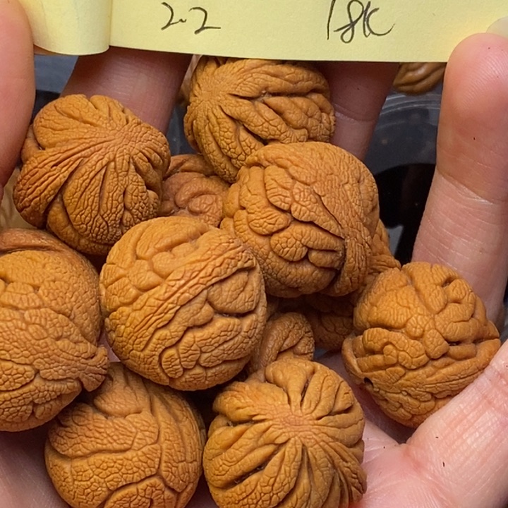 吊坠桃核y****g秦岭龙纹桃核22尺寸