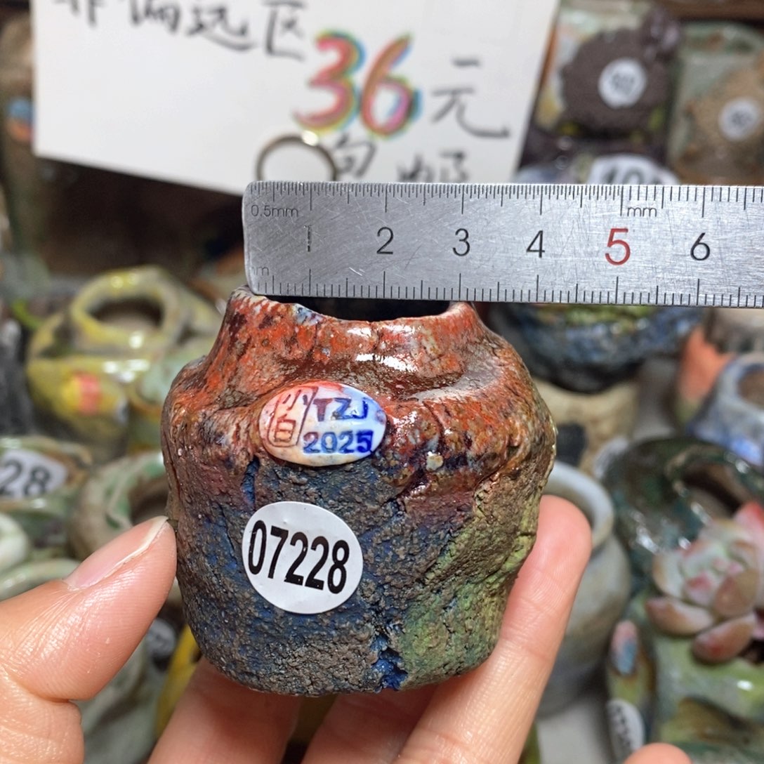 花盆拍3送一个小礼物