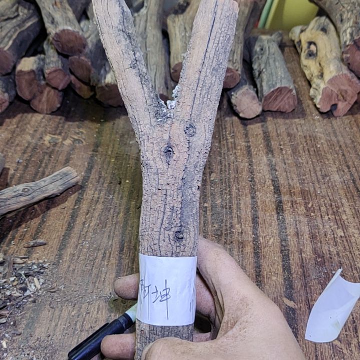 阿***坤火琉璃原杈不保沉水慎拍！